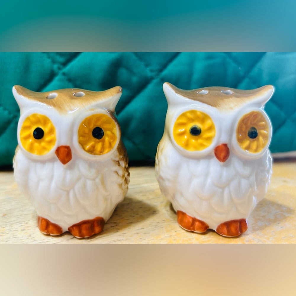 Owl salt & pepper shakers.  No cracks, new, never used. Glass.